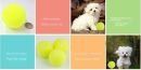 3pcs toy micro elastic tennis-style balls