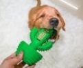 Cactus-Shaped Natural Rubber Toothbrush Stick for Effective Doggy Teeth Cleaning and Massage