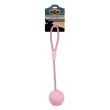 Dr. Pol Loop Knotted Rope Tug With Pig Shaped TPR Ball