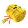 Treasure Chest Toothbrushing Squeaky Toy