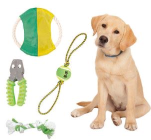 4 Piece Tennis Pet Toy Set