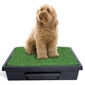 Pet Loo Potty Training System - Large