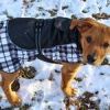 Alpine All Weather Dog Coat - Black and White Plaid