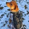 Alpine All Weather Dog Coat - Black and White Plaid