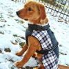 Alpine All Weather Dog Coat - Black and White Plaid