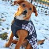 Alpine All Weather Dog Coat - Black and White Plaid