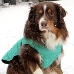 Alpine Flannel Dog Coat - Arcadia (Option: Large)