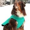 Alpine Flannel Dog Coat - Arcadia