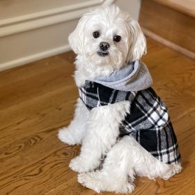 Weekender Dog Sweatshirt Hoodie Black & White Plaid Flannel (Option: X-SMALL)